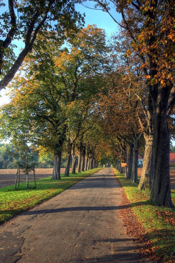 Schlosspark Hollwinkel Preussisch Oldendorf Luaran gambar